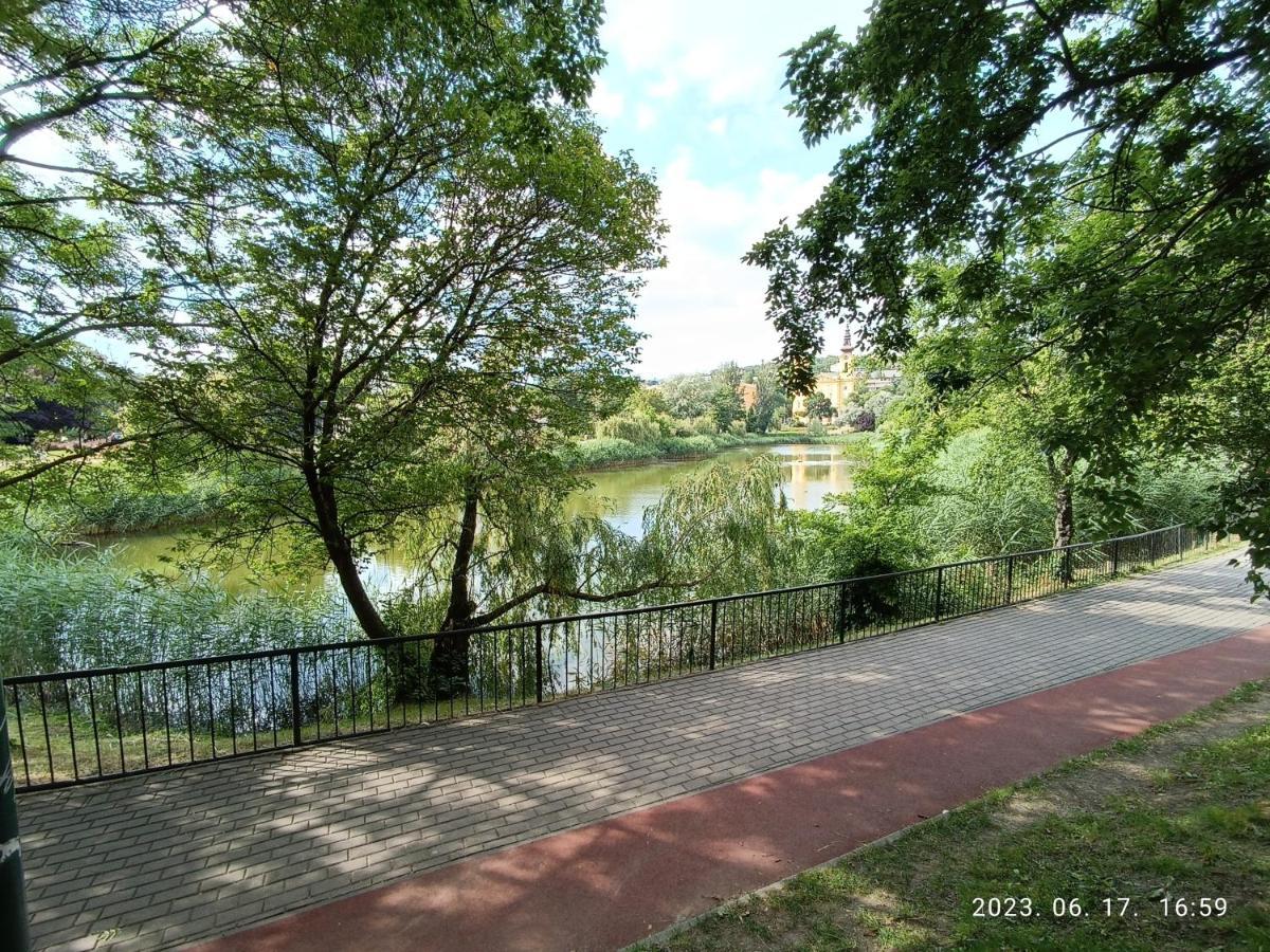 Baratsagos, Csendes, Napfenyes Lakas. Apartmán Budapest